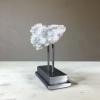 white and blue gray crystal specimen large steel display 3