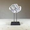 white and gray crystal specimen large steel display 1