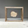 petrified wood slice with poplar frame 3-1